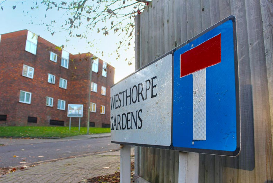 Regeneration plans backed: Westhorpe Gardens and Mills Grove estate in Barnet