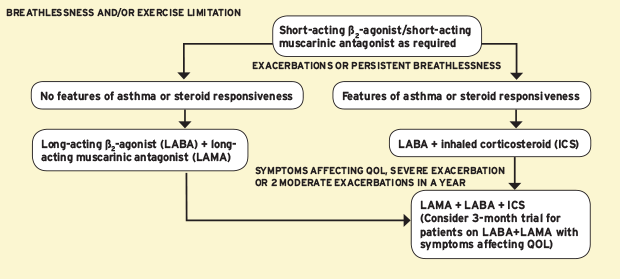 Management Of COPD (NICE Guideline) | MIMS Online