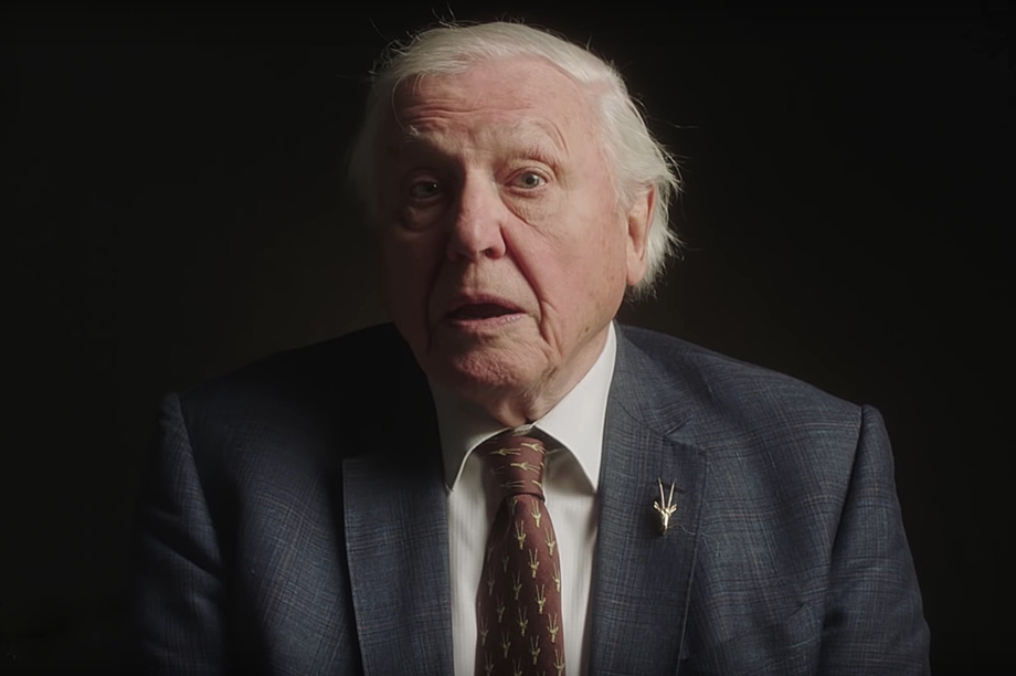 Attenborough urges advertisers that use animals to donate part of media  spend | Third Sector
