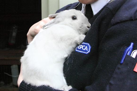 Unite says RSPCA's job cut plans pre-date the pandemic | Third Sector Unite says RSPCA's job cut plans pre-date the pandemic | Third Sector