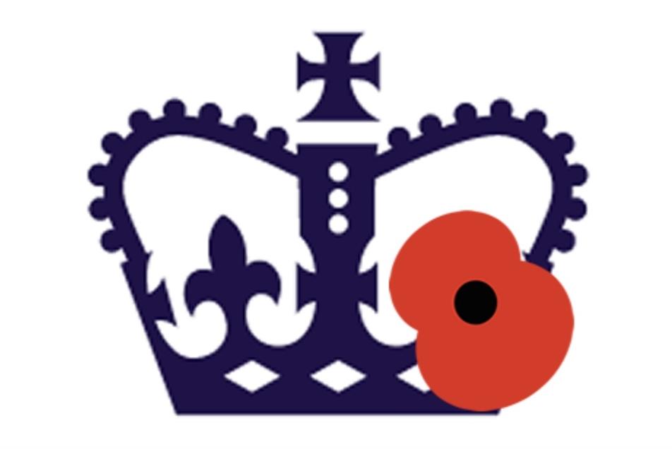 Regulator defends putting poppy on Twitter logo after eyebrows raised ...