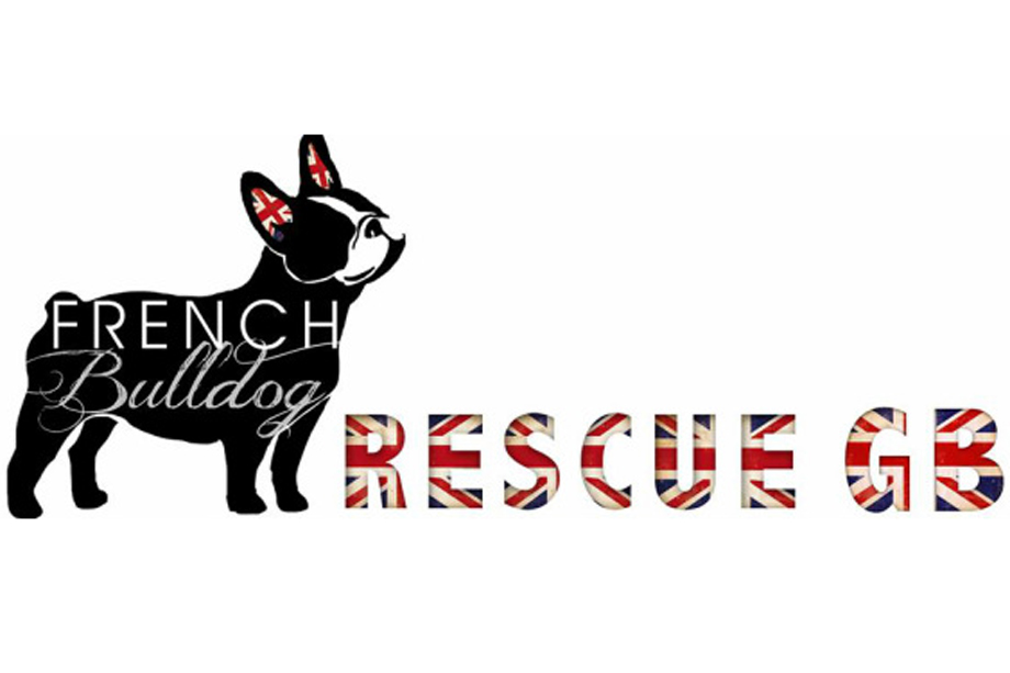 French bulldog rescue store gb