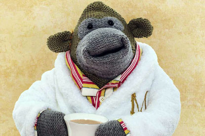 APG Creative Strategy Awards - PG Tips 'monkey' by Mother London