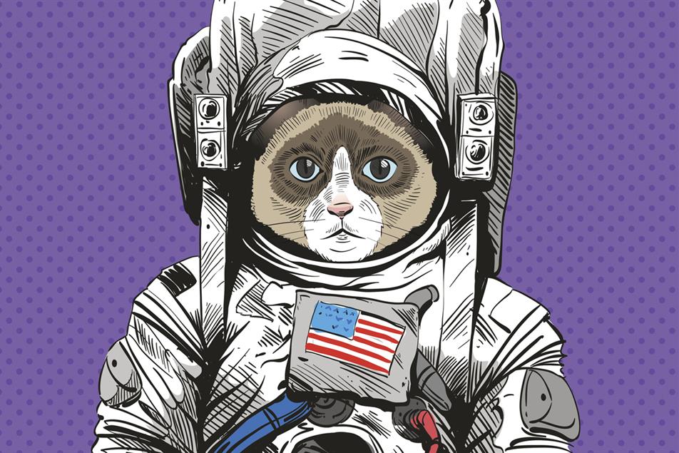 Campaign Diary: Anomaly honours cat in space and Lego gets political