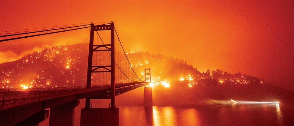 Review of 2020: The year we became 'accidental climate heroes'