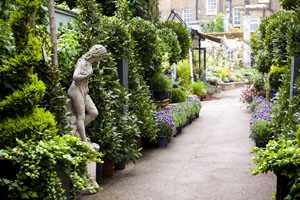 Clifton Nurseries first opened in 1851