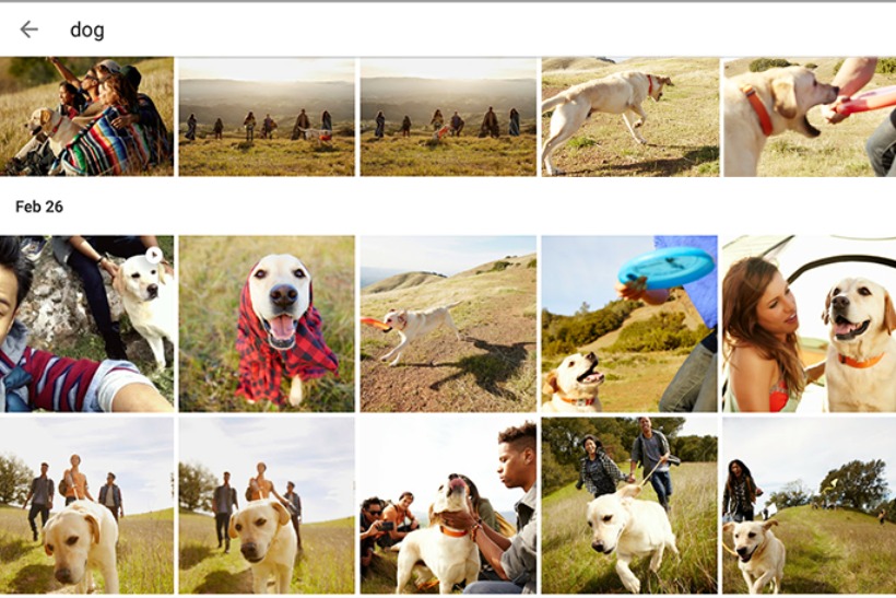 Google photos app among those to have fallen foul of algorithms