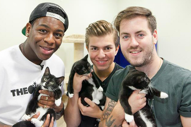 The Loveable Rogues: visit Battersea Dogs & Cats Home