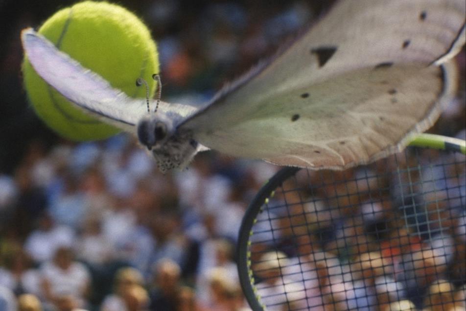 Butterfly wimbledon ad