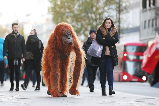 Iceland: animatronic orangutan is part of Christmas campaign