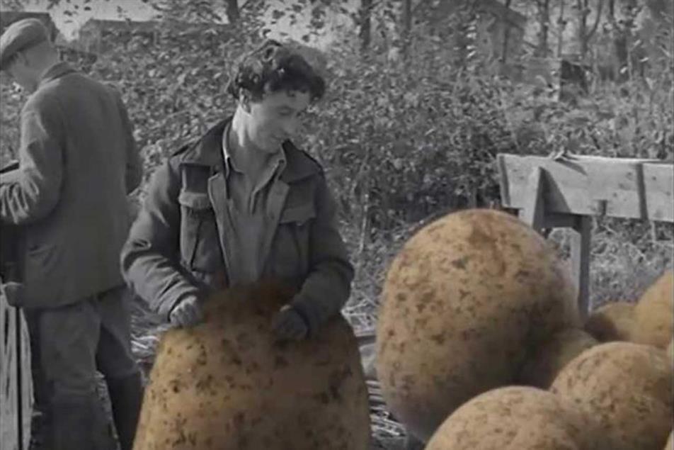 Tyrrells: ad stars oversized potatoes