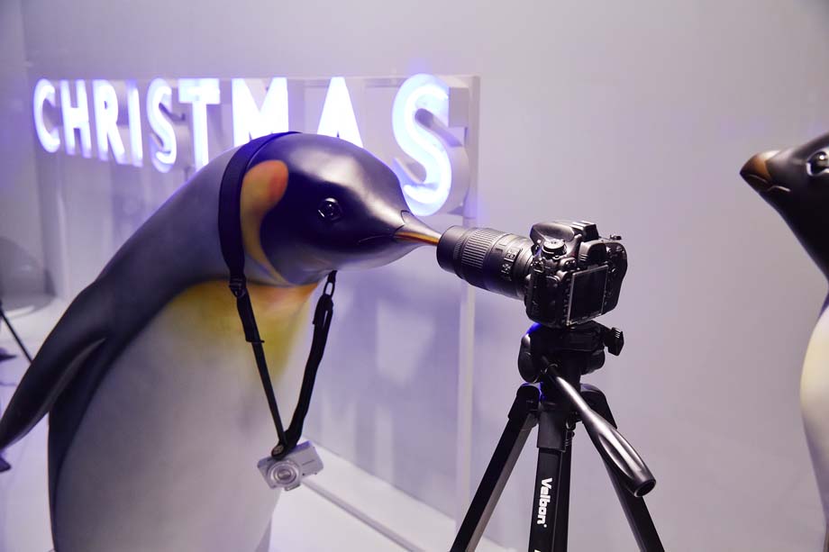 Monty the Penguin to come to life at John Lewis stores