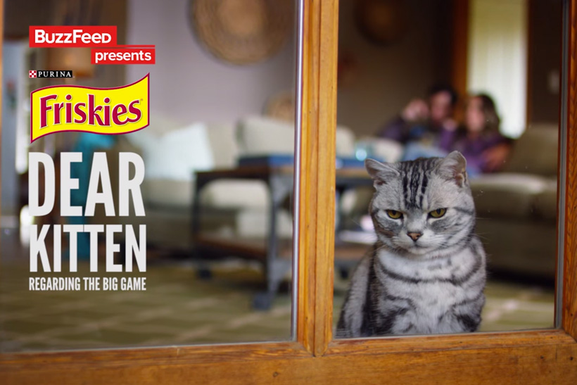 BuzzFeed and Friskies: showing life from a cat's point of view