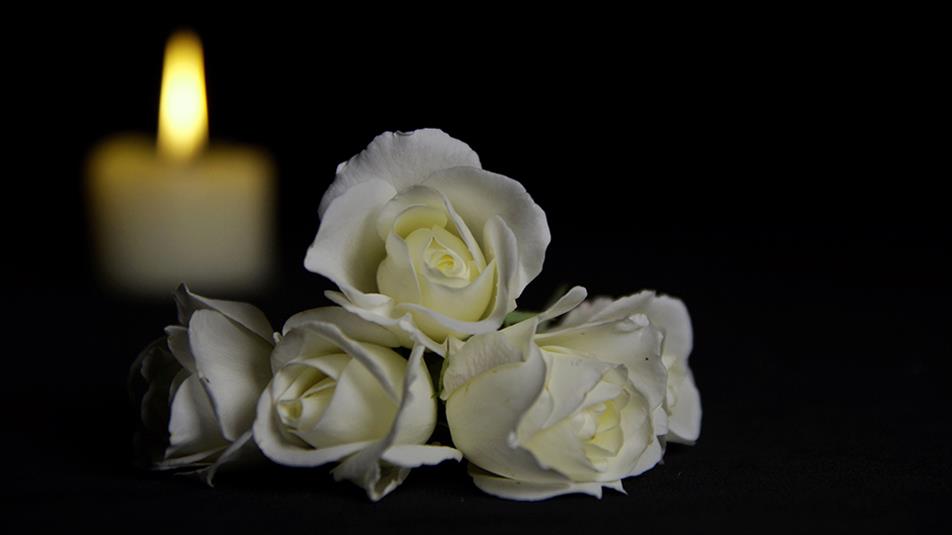 Quarter of staff faced bereavement in the last year, poll shows