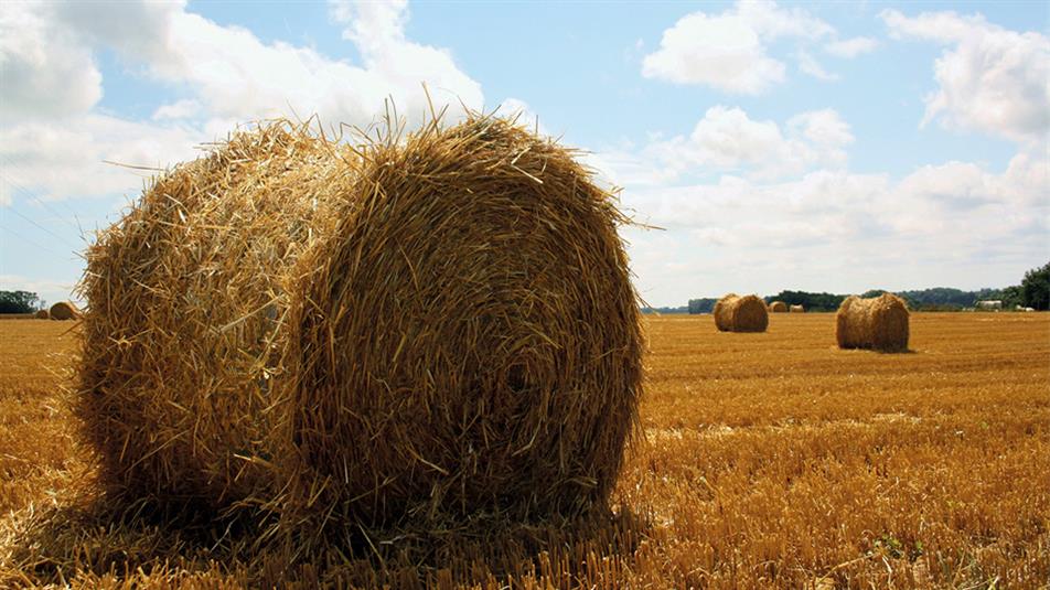 Why is calculating the ROI of L&D like finding a needle in a haystack?