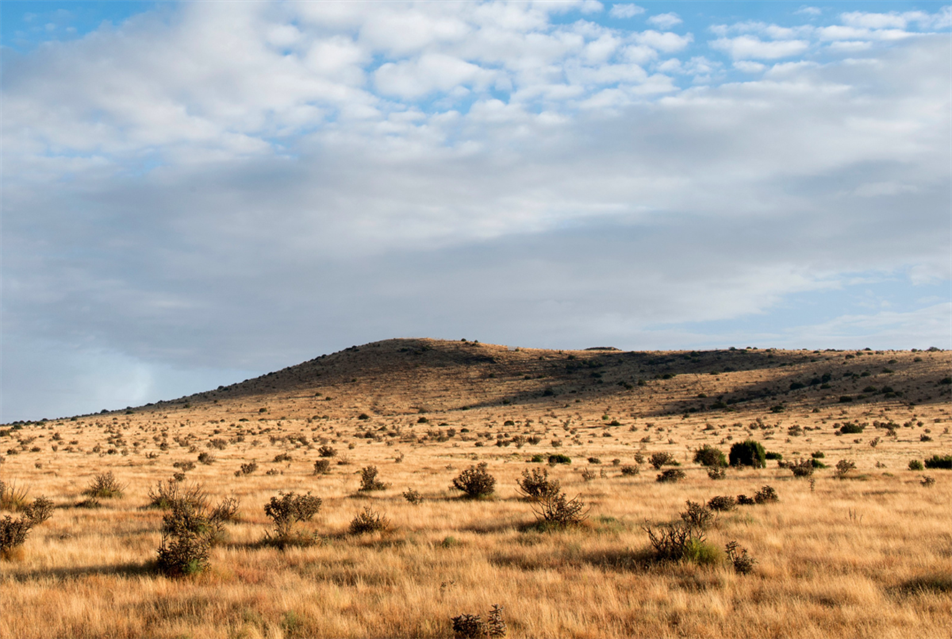 Shell and University of California sign PPAs with 3.5GW SunZia wind ...