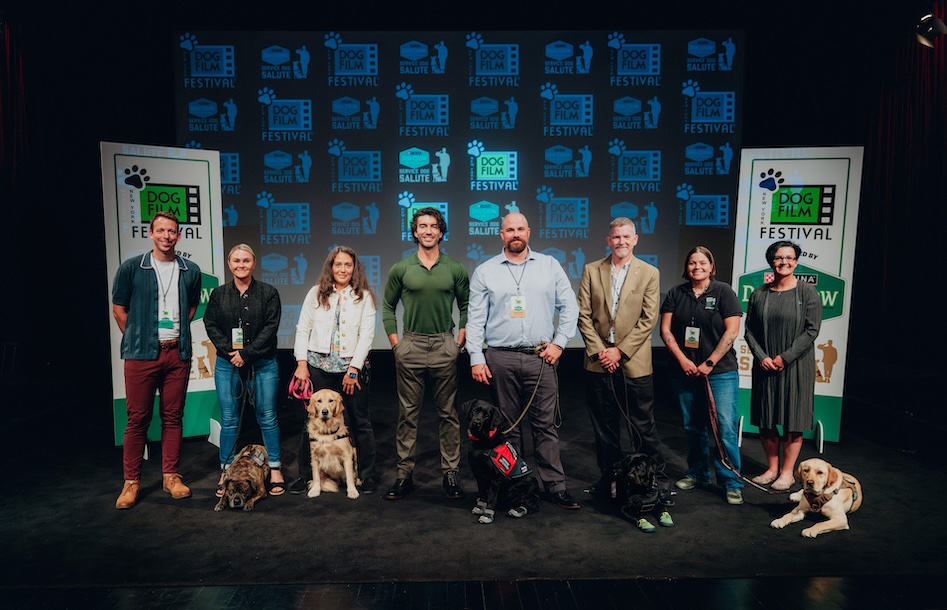 Justin Baldoni Salutes To Veteran Service Dogs In Partnership With Justin baldoni salutes to veteran service dogs in partnership with