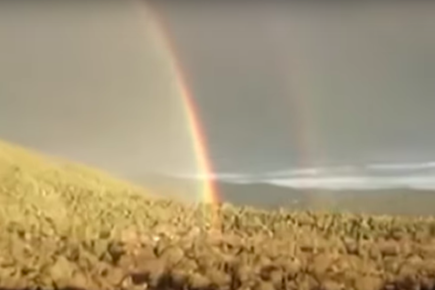 ‘Double rainbow guy’ Paul Vasquez dead at age 57 PR Week