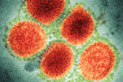 Exclusive: DH flu failures may have caused hundreds of preventable ...