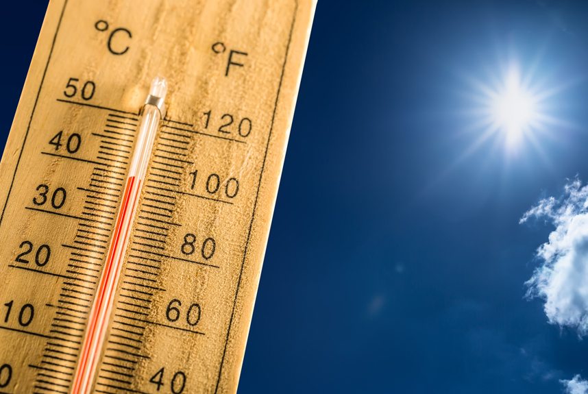 BMA demands fresh COVID-19 plan as heatwave adds to pressure on NHS ...