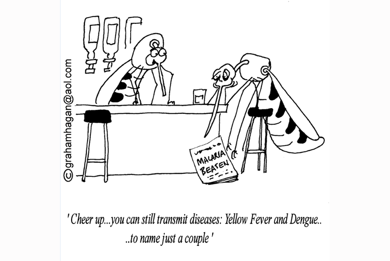 Cartoon: Will the world be malaria-free in 15 years? | GPonline Cartoon: Will the world be malaria-free in 15 years? | GPonline