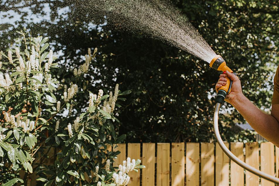 ‘Falling like little tin soldiers’ Thames Water to introduce hosepipe