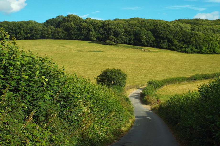 Inspector allows 100 homes on Surrey green belt after finding council's