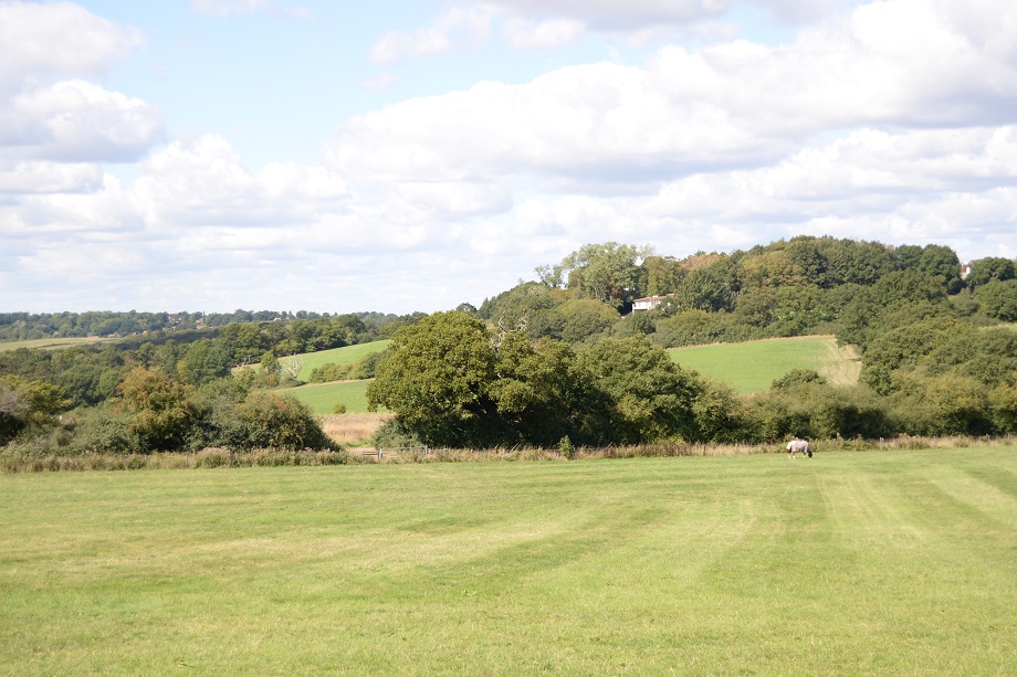 Government promises ‘strengthened’ green belt protections and penalties