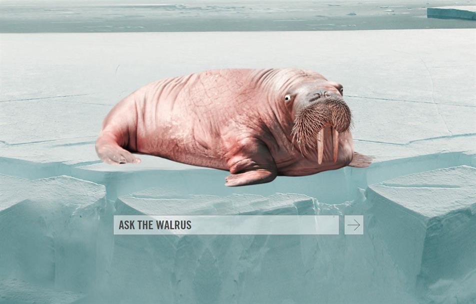 Walrus watches company hot sale