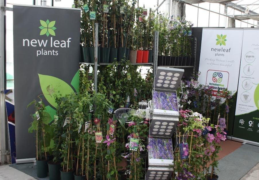 New Leaf Plants Signs Up To Exhibit For The 30th Year For Four Oaks ...