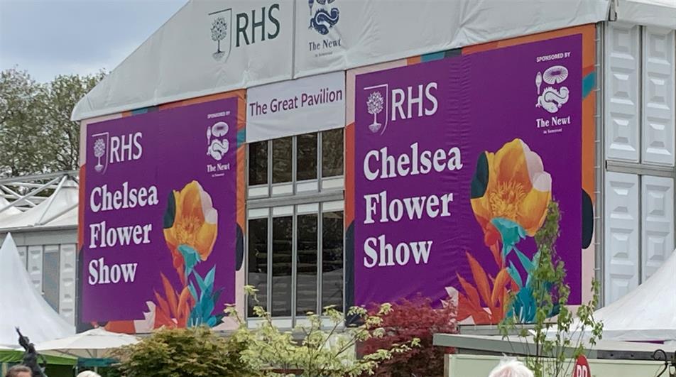 Top Eight Themes From RHS Chelsea Flower Show | HortWeek