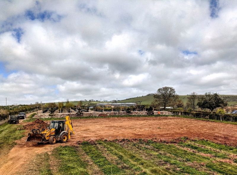 Tree nursery creates new beds HortWeek