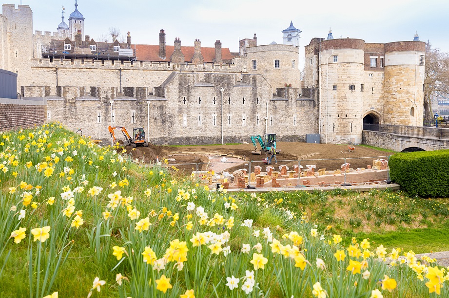 Pictorial Meadow sowing underway for Tower of London Jubilee ‘Superbloom’ HortWeek