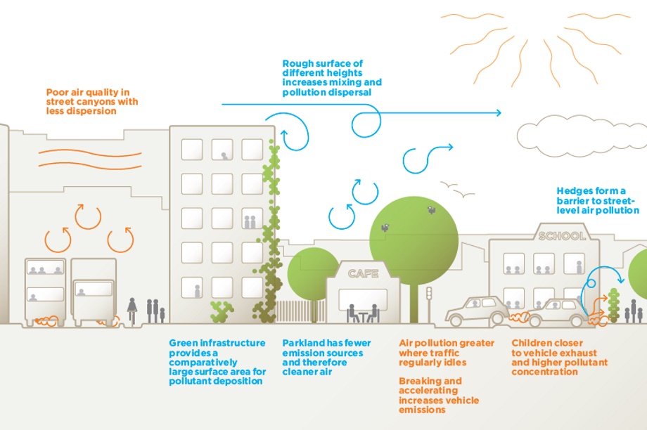 Guide highlighting trees' role in dispersing pollutants aims to "dispel myths" on urban air