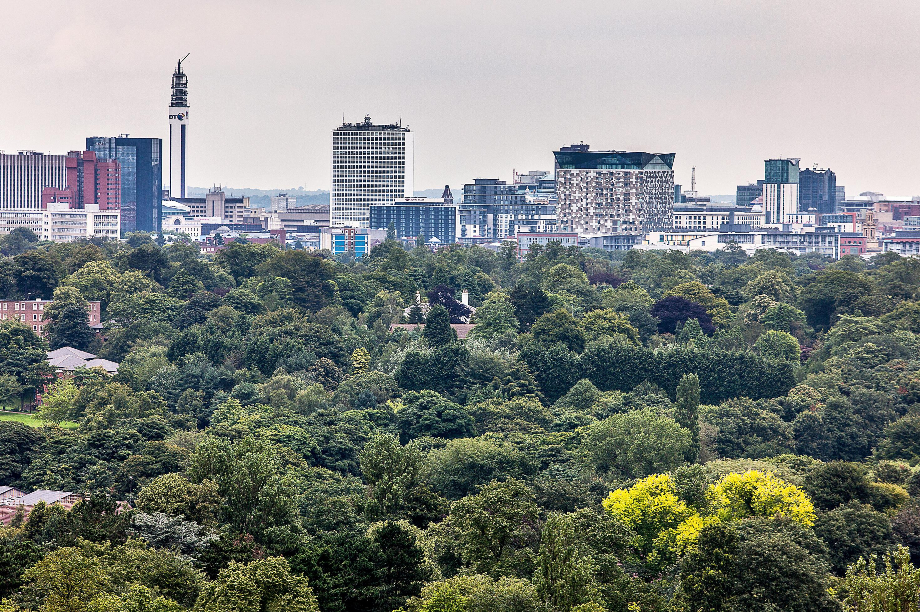 The Urban Forest Master Plan - Birmingham TreePeople