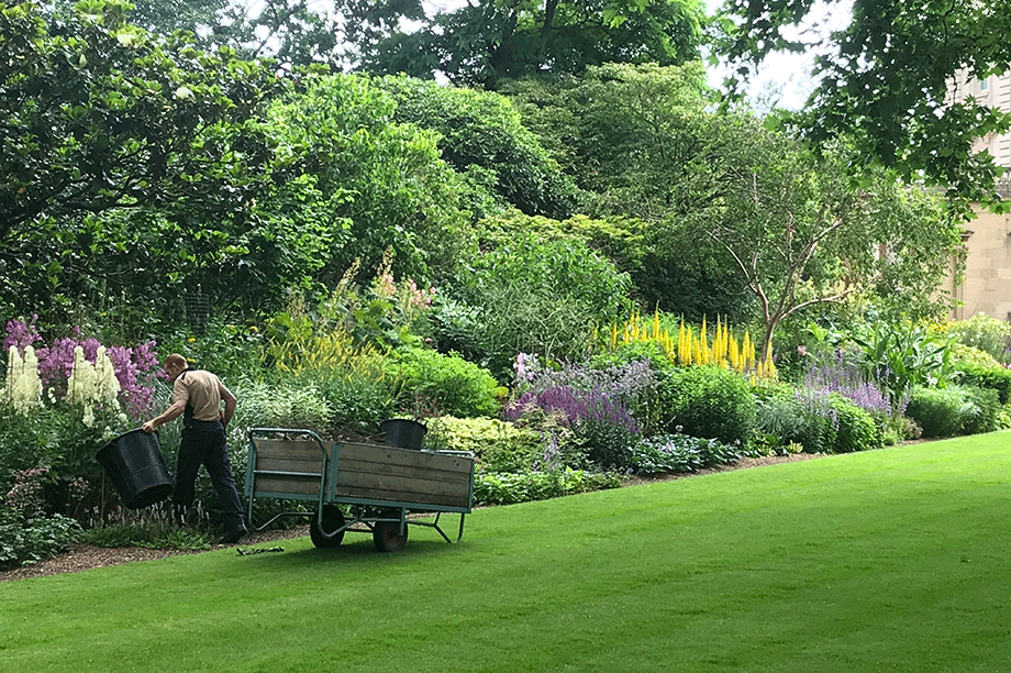 Buckingham Palace gardens opens to the public GALLERY HortWeek