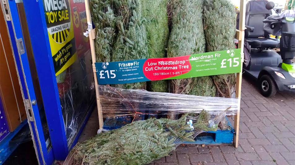 EXCLUSIVE Cheapest Christmas tree revealed HortWeek