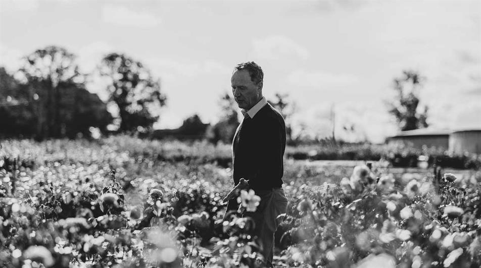 First And Foremost A Gardener Rose Grower David J C Austin Dies first-and-foremost-a-gardener-rose-grower-david-j-c-austin-dies