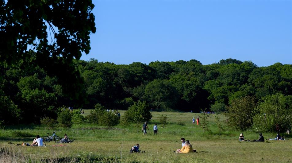 Epping Forest set to exceed 10 million visits in 2023 HortWeek