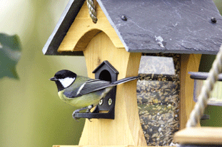 bird feeder dobbies