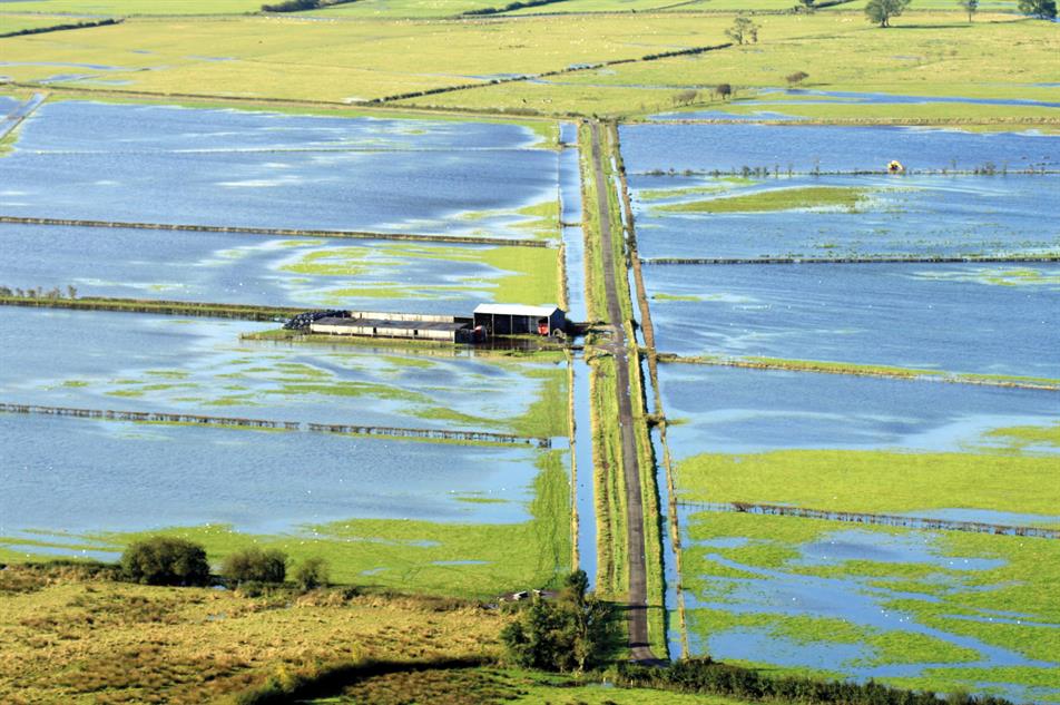 Building A Better Case For Natural Flood Management Hortweek 8779