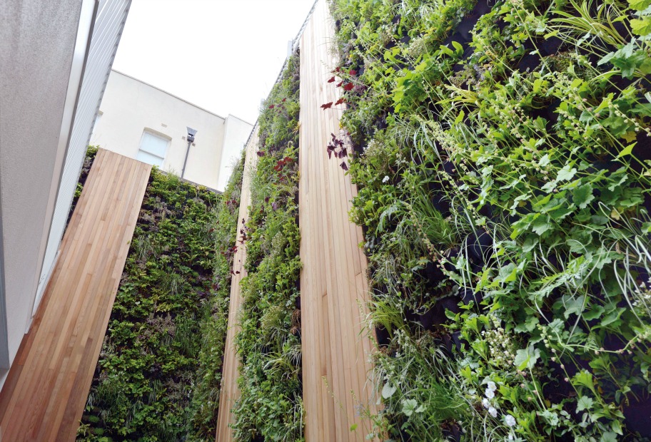 Confidence on growing market for green walls