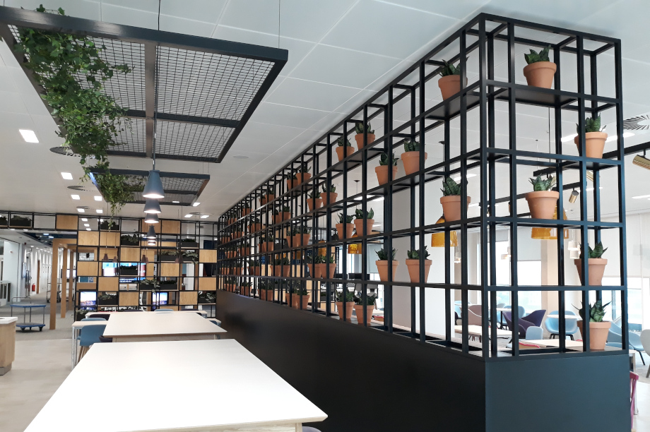 Tivoli wins BALI award for interior landscape maintenance contract in