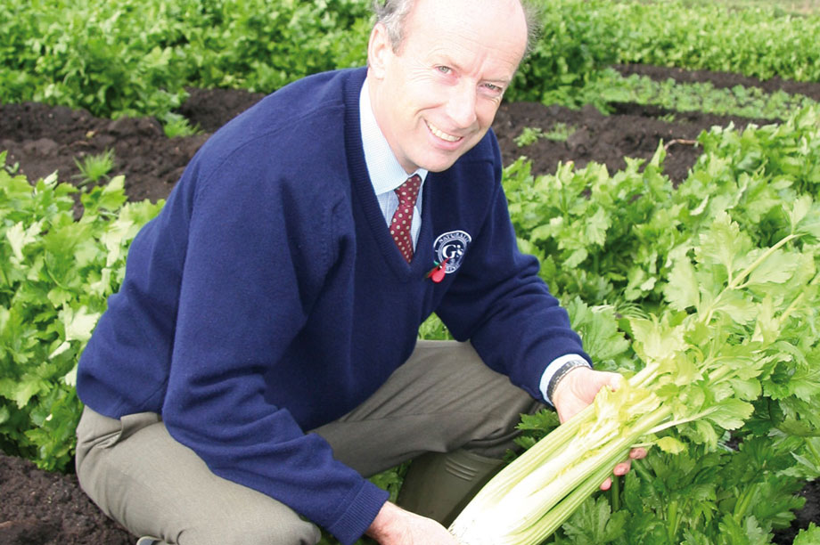 Freshproduce growers left behind by trends? HortWeek