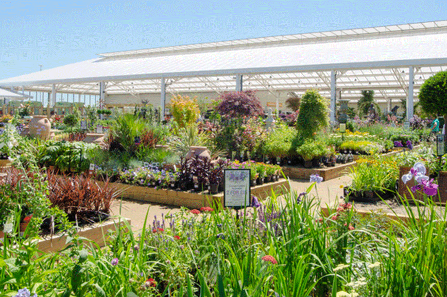 Blue Diamond garden centres' Scotch Corner picture gallery HortWeek