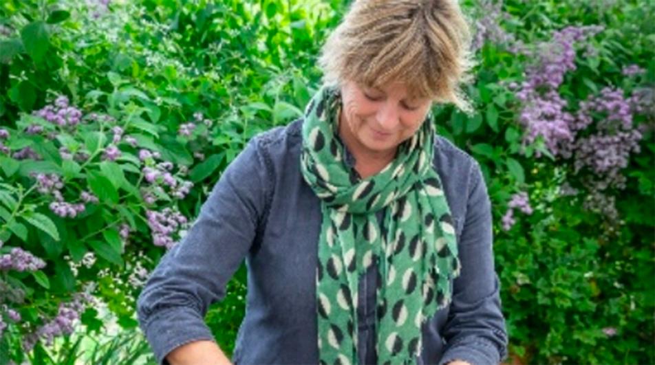 Sarah Raven launches peatfree HortWeek