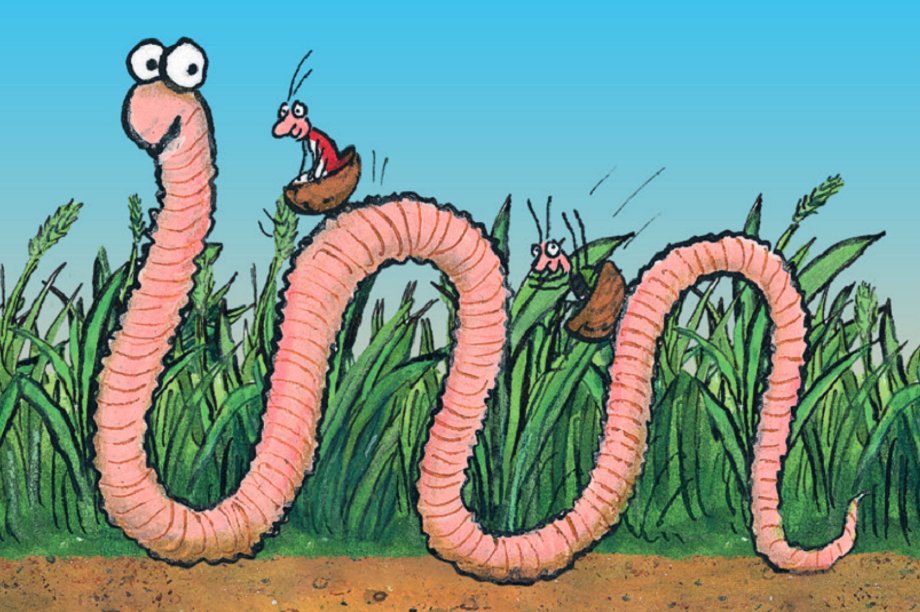 Superworm arrives at Kew HortWeek