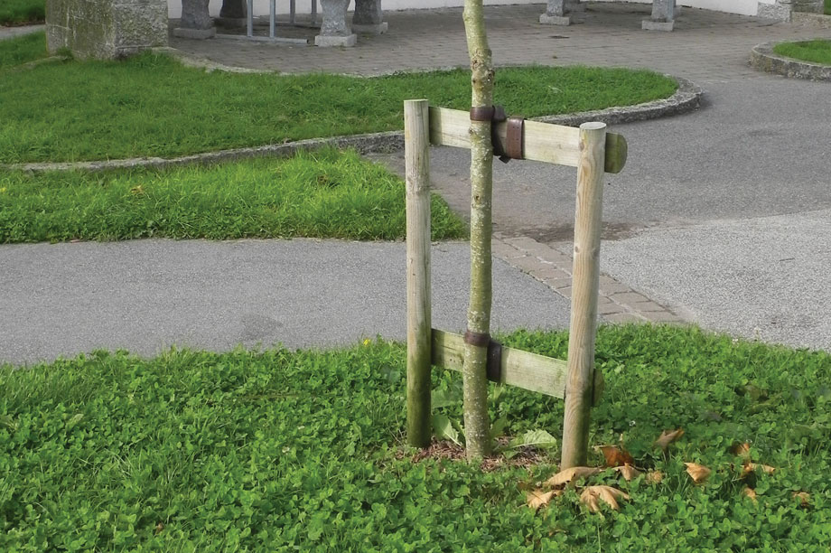 Buyers' guide Tree stakes and ties HortWeek