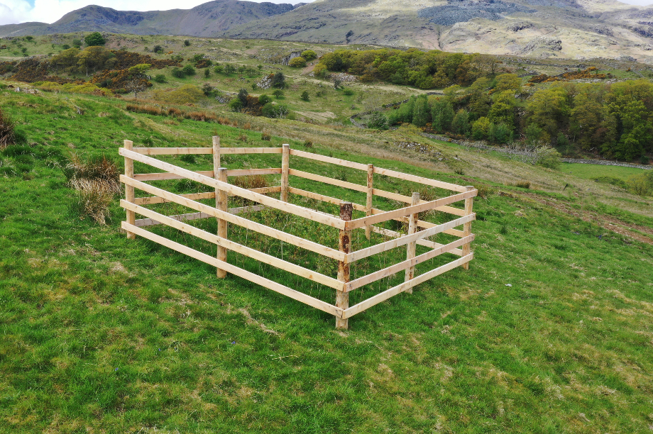 National Trust explores alternatives to plastic tree guards HortWeek