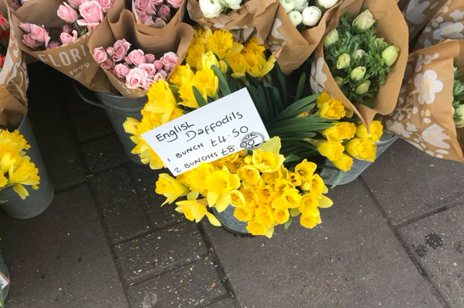 Most daffodil prices stay at £1 despite Eustice increase suggestion and